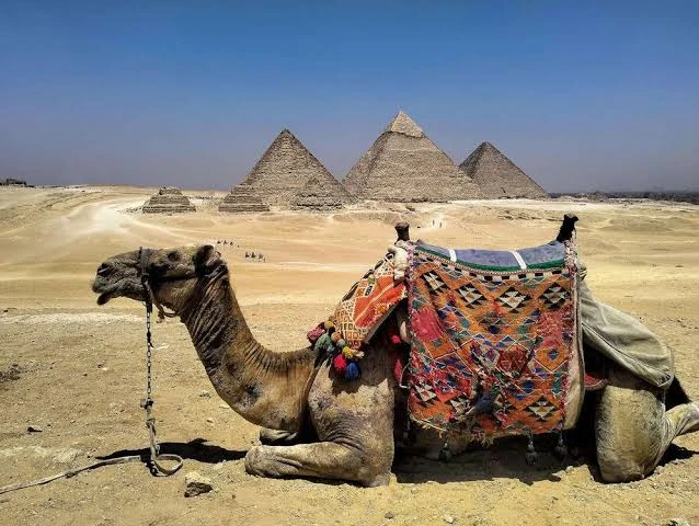 Amazing Pyramids and Nile Cruise Lunch from Port Said