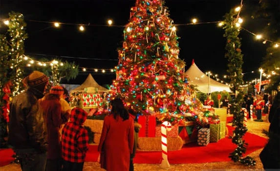 Best 7 Days Cairo and Sharm El Sheikh Christmas Trip