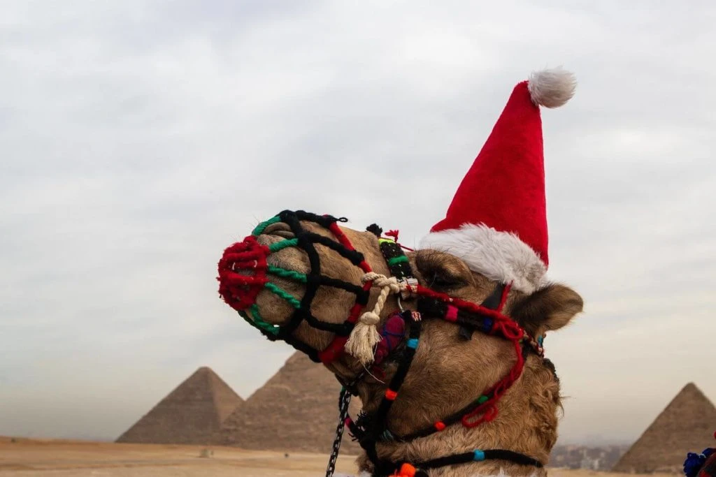 10 Day Cairo Luxor Aswan Christmas Tour Package