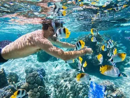 Snorkeling Trip at Sataya dolphin Reef from Marsa Alam