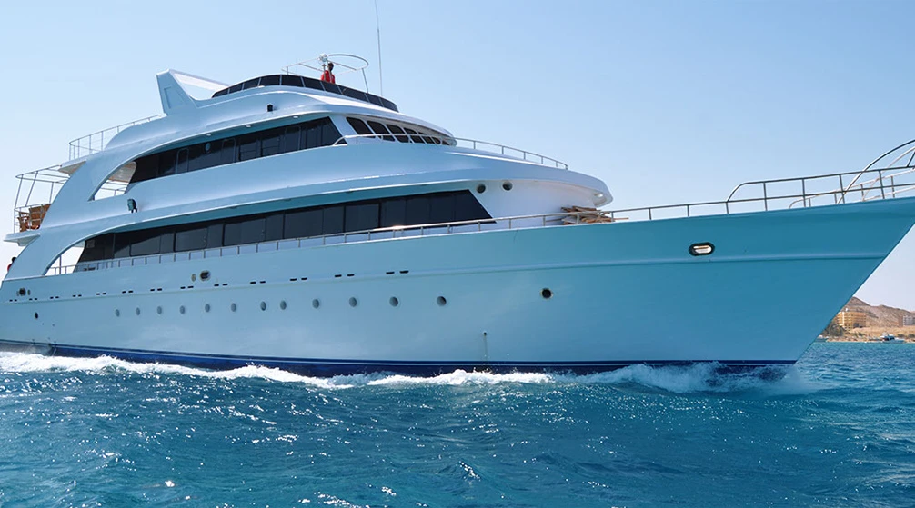 Snorkeling Trip at Sataya dolphin Reef from Marsa Alam