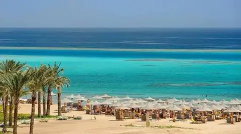 Half day snorkeling to Sharm el Luli