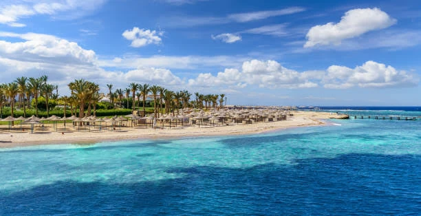 Half day snorkeling to Sharm el Luli