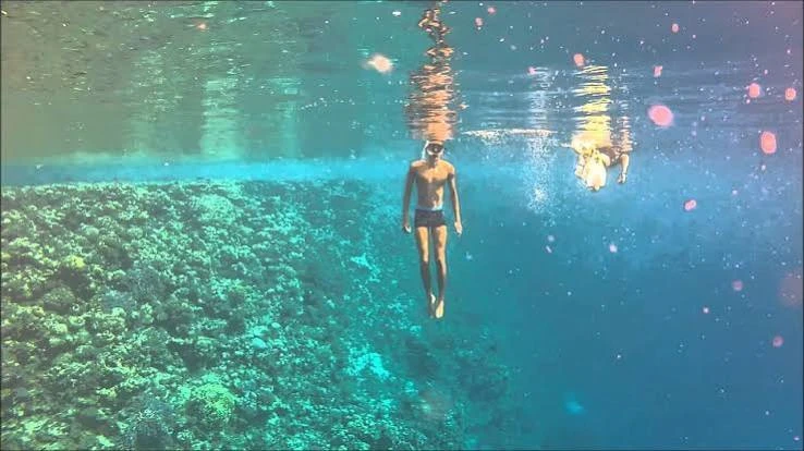 Half day snorkeling to Sharm el Luli