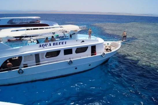 snorkeling at dolphin house from Marsa Alam