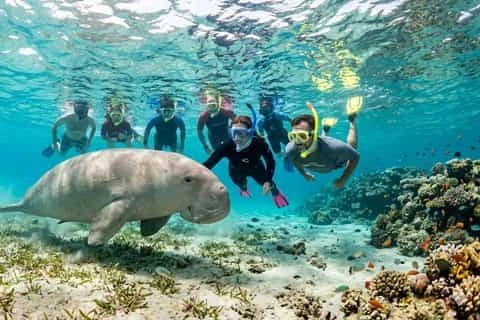 Snorkeling Trip at Port Ghalib Marina from Marsa Alam