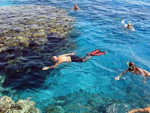 Snorkeling Trip at Port Ghalib Marina from Marsa Alam