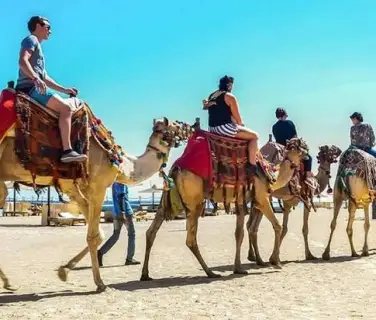 camel riding Marsa Alam day tour