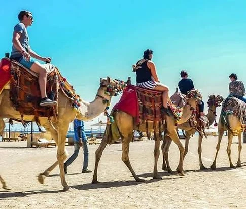 camel riding Marsa Alam day tour