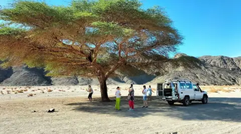 Wadi El Gemal Excursions in Marsa Alam