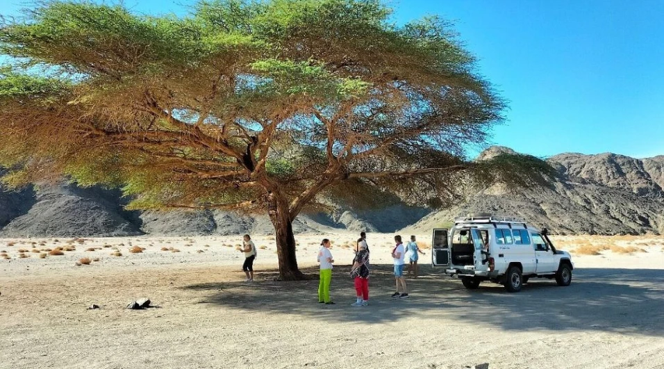 Wadi El Gemal Excursions in Marsa Alam