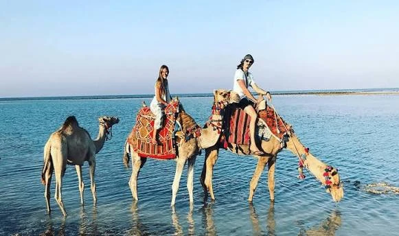 Wadi El Gemal Excursions in Marsa Alam
