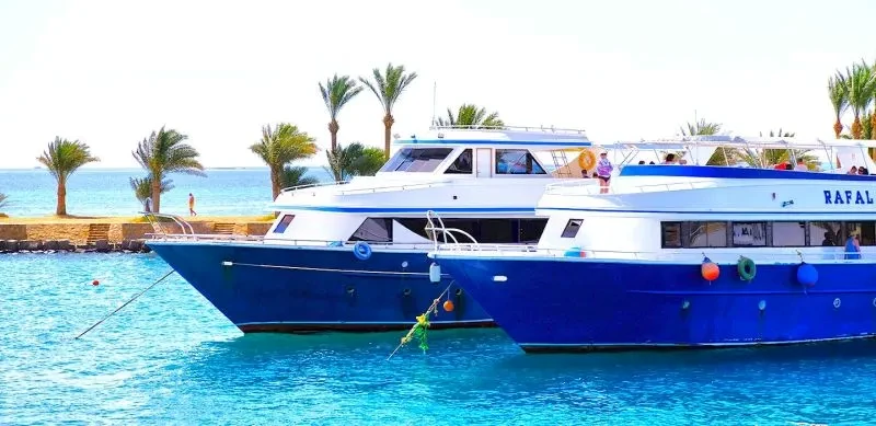Private boat trip to the Dolphin house from Marsa Alam