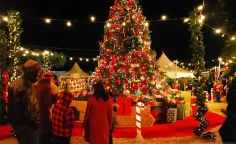 Cairo and Sharm El Sheikh during Egypt Christmas Tour