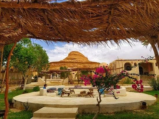 Dental Implants & Siwa Oasis Tour