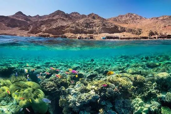 Dental Implants & Dahab Getaway