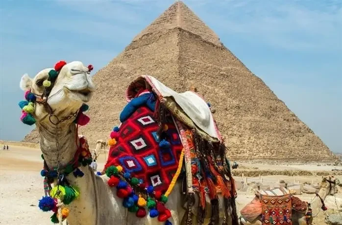 Camel riding experience beside the ancient Pyramids of Giza
