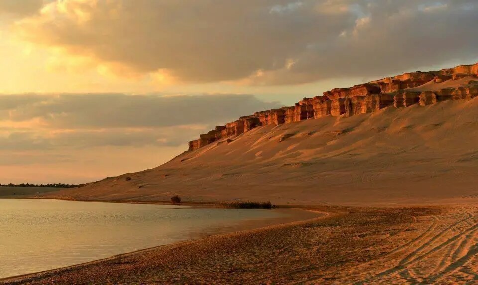 Explore Wadi El Rayan in One Day