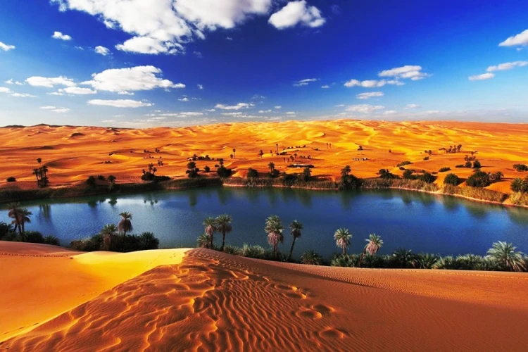 Discover Fayoum Oasis One Day?