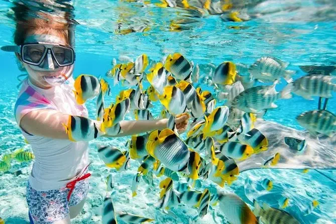 Viaje de snorkel económico a la isla Giftun