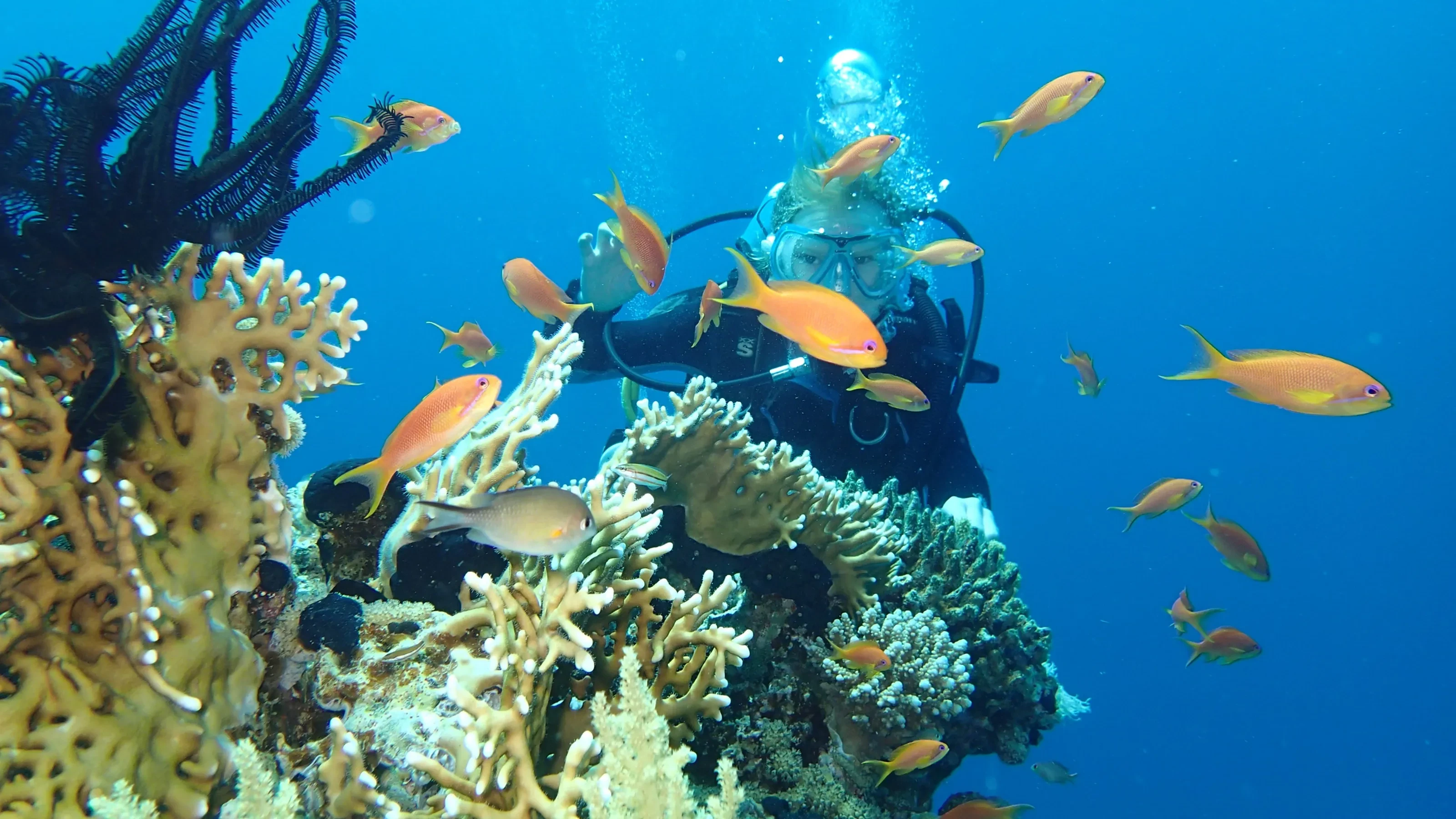 Tour de 5 Días por El Cairo y Hurghada