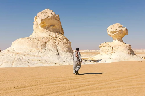 15 Days Siwa Oasis Luxor and Aswan