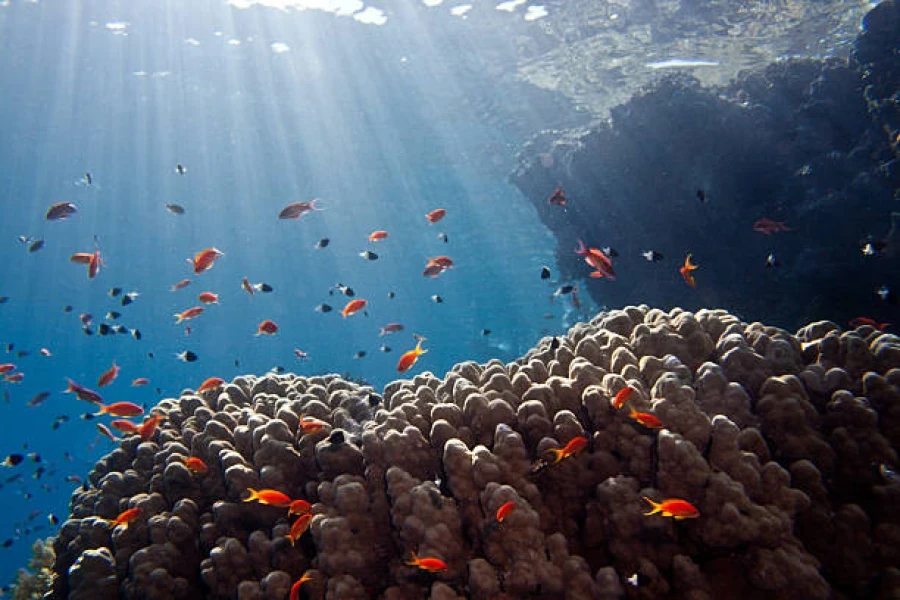 Cairo & Sharm El Sheikh 7 Days / 6 Nights