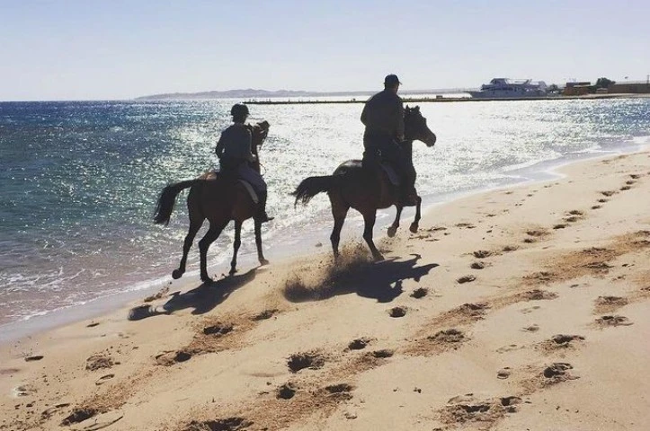 Équitation à Hurghada