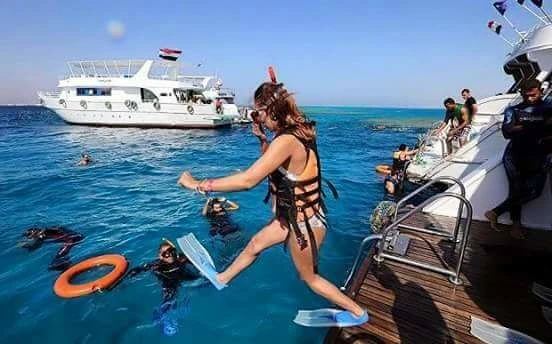 Excursion de plongée avec tuba à l'île Mahmya à Hurghada en bateau