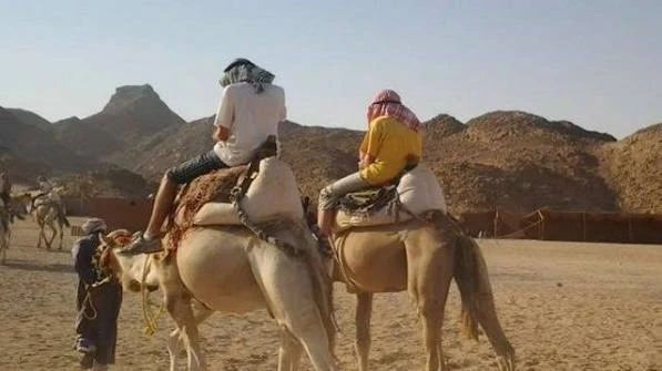 Excursions Aladin Safari depuis Marsa Alam