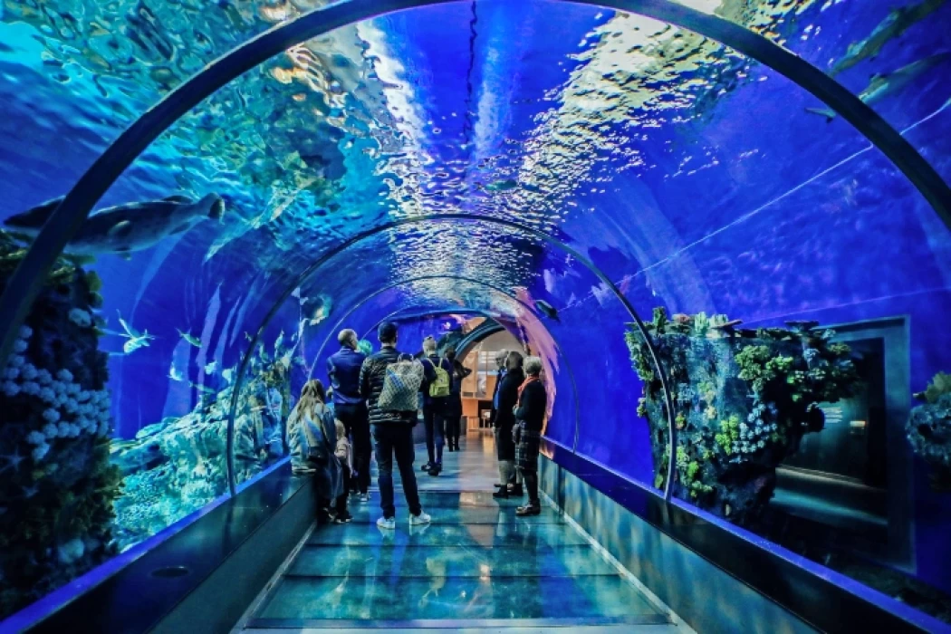 Hurghada Grand Aquarium: Must-See Marine Life