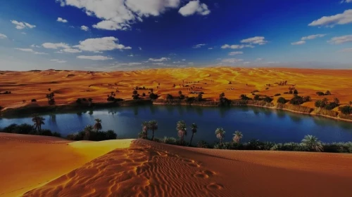 Full day tour to Fayoum Oasis from Cairo
