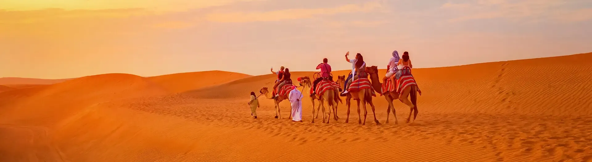 Discover Egypt’s natural beauty beyond the cities on a safari tour