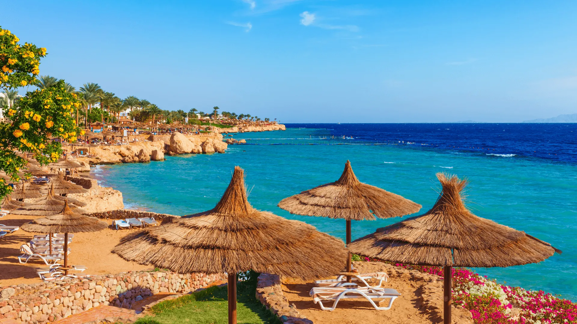 Sharm El Sheikh Day Tours for snorkeling, safaris, and cultural highlights