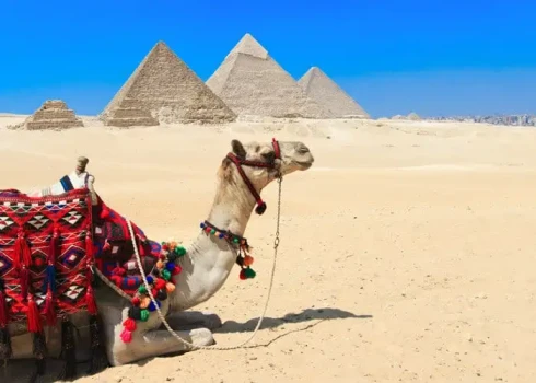 Explore the iconic Giza Pyramids on a full-day Cairo excursion