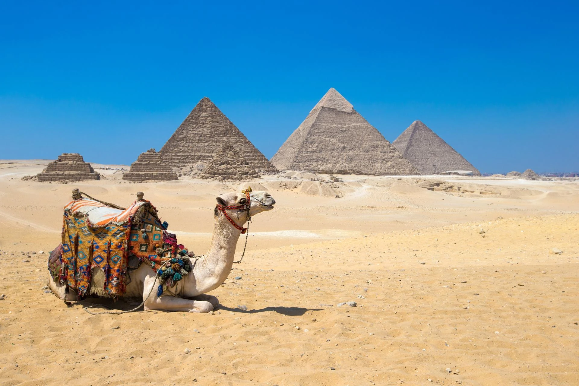 Take a cultural journey through Egypt, featuring the iconic Giza Pyramids