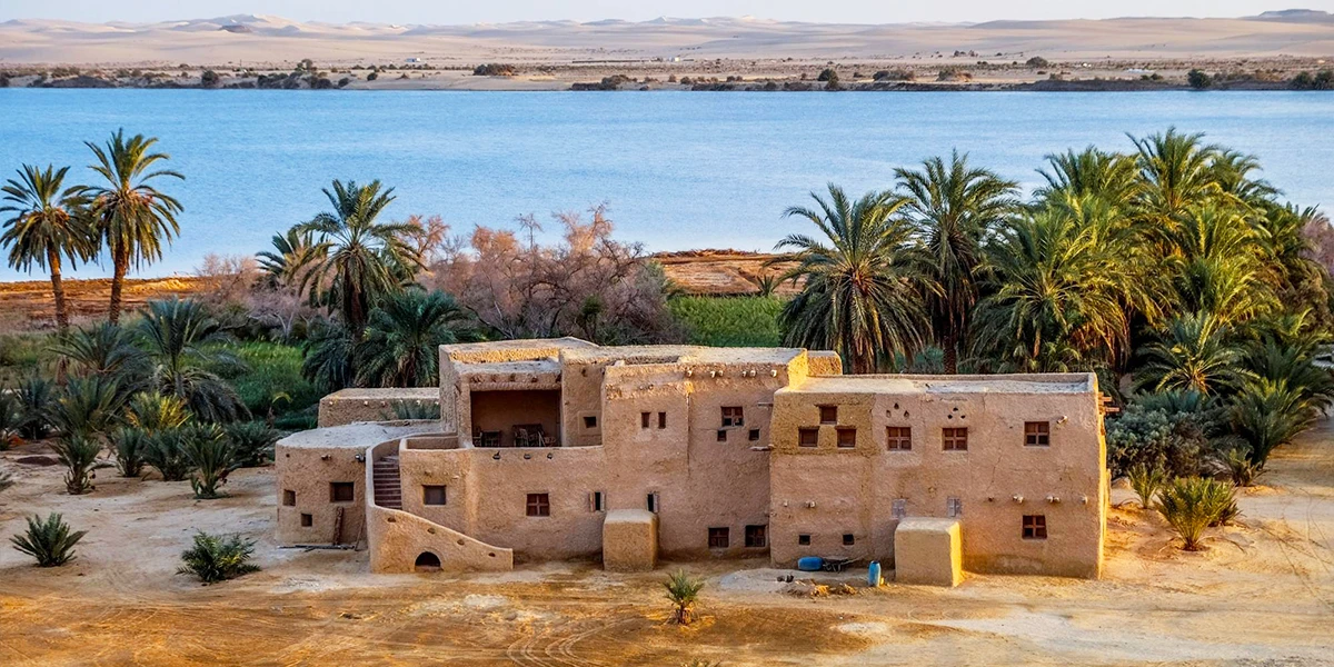 Experience authentic Egypt culture in the magical Siwa Oasis