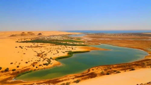 Day tour from Cairo to Fayoum Oasis