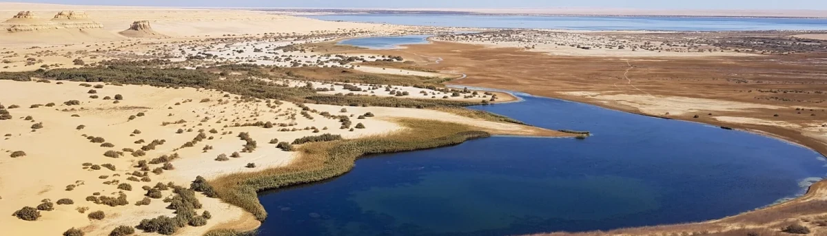 Discover Qarun Lake and Fayoum’s top attractions
