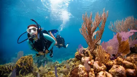 8 Days Luxury tour Cairo Luxor and Hurghada