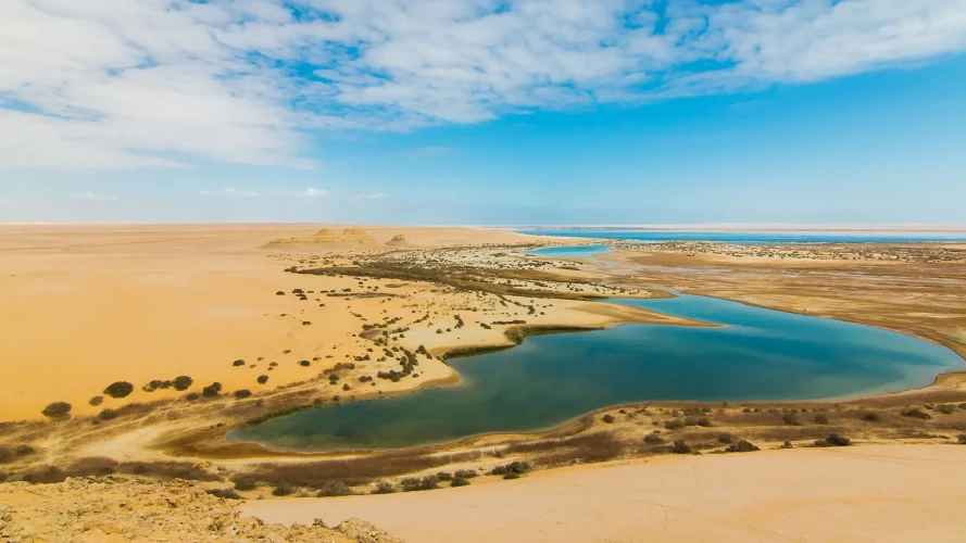 Enjoy the Top Experiences at Qarun Lake in Fayoum