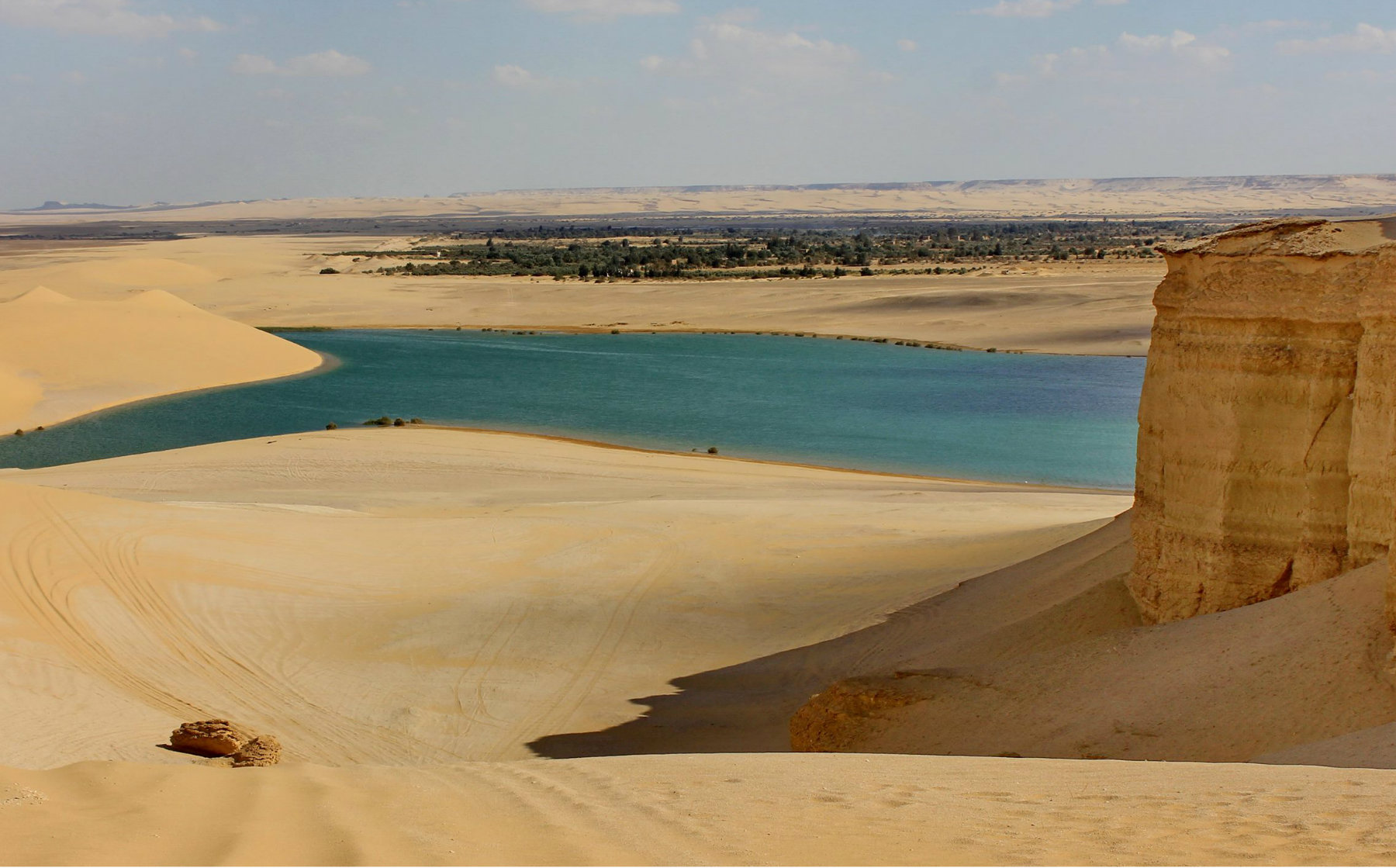 Best Fayoum experiences at Qarun Lake await