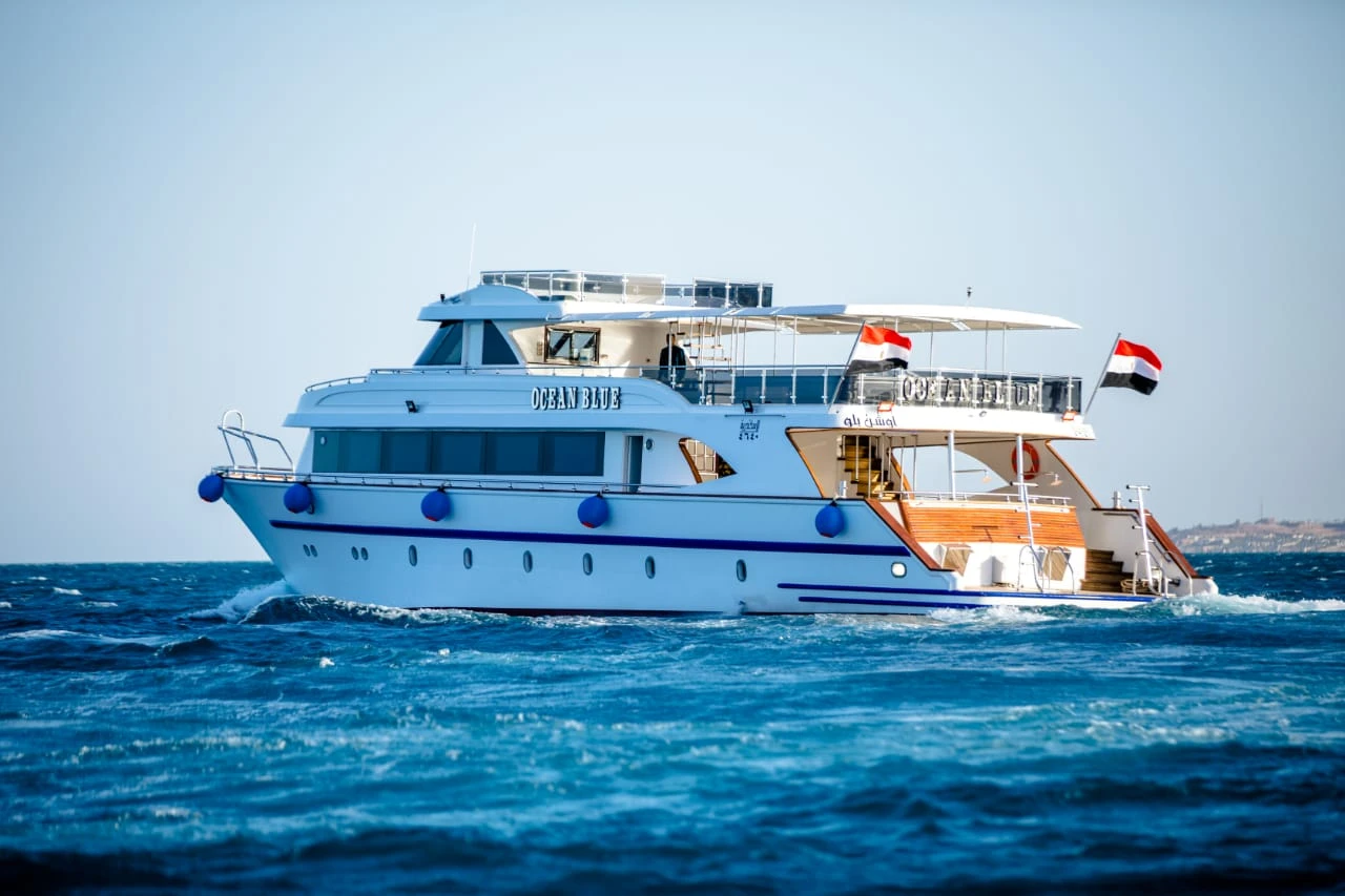 Dolphin boat trip in Hurghada during the 3 Days Cairo and Hurghada Trip