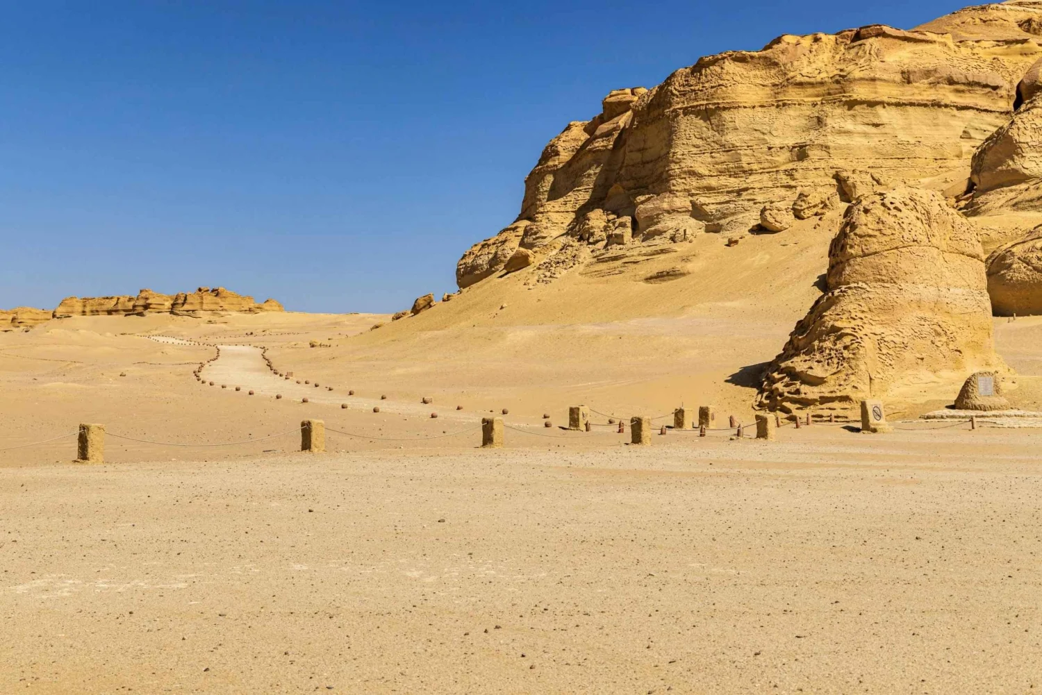 Discover Fayoum’s Wadi El-Hitan fossil treasures