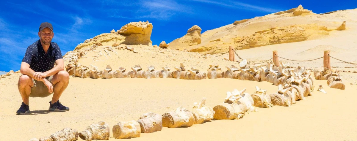 Wadi El Hitan, Fayoum: Egypt’s Whale Fossil Site