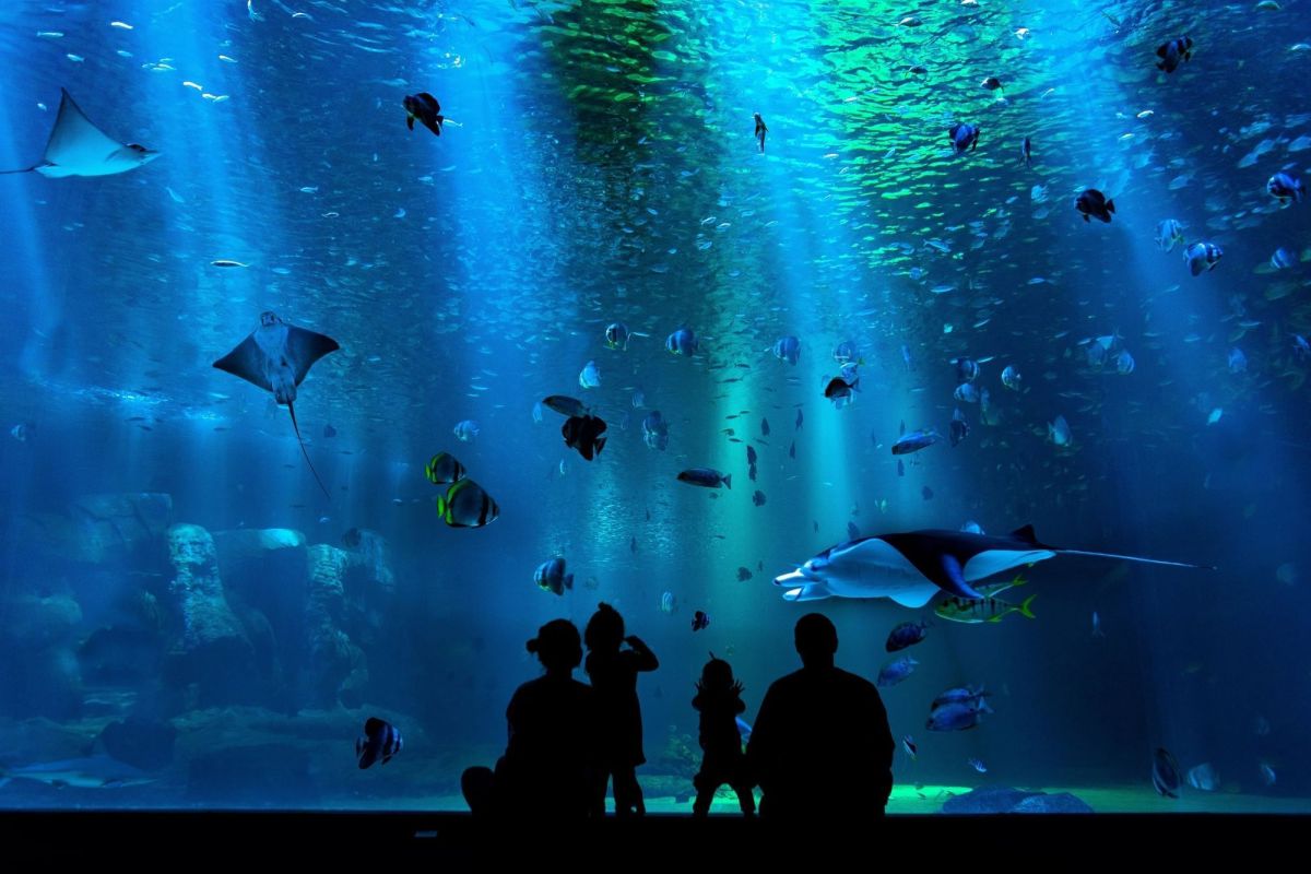 Hurghada Grand Aquarium