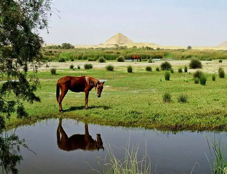 Dahshur Pyramids 